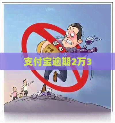 信用卡逾期2万3