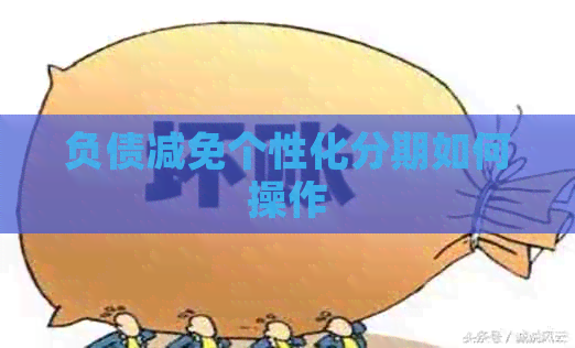 负债减免个性化分期如何操作