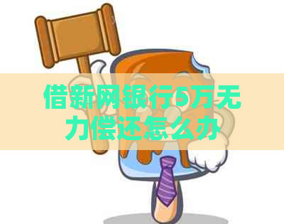 借新网银行5万无力偿还怎么办