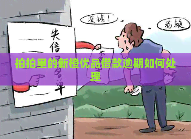 拍拍里的新橙优品借款逾期如何处理