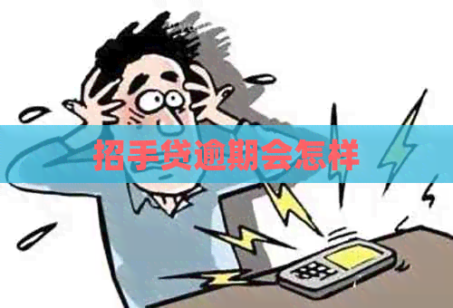 招手贷逾期会怎样
