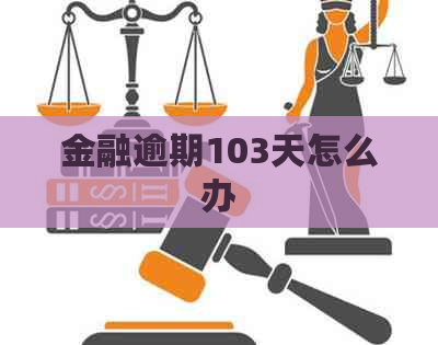 金融逾期103天怎么办