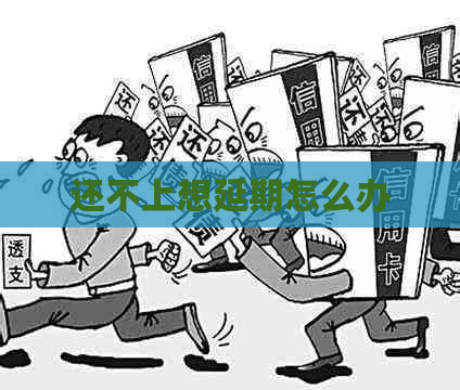 还不上想延期怎么办