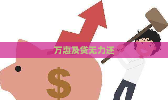 万惠及贷无力还