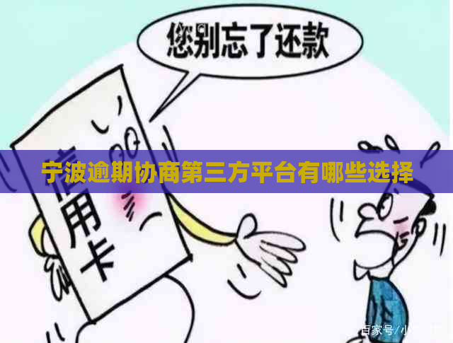 宁波逾期协商第三方平台有哪些选择