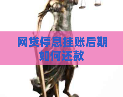 网贷停息挂账后期如何还款