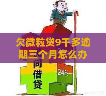 欠微粒贷9千多逾期三个月怎么办还款