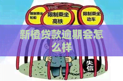 新橙贷款逾期会怎么样