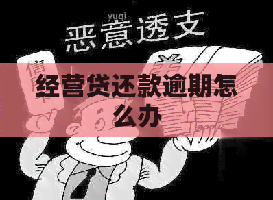经营贷还款逾期怎么办