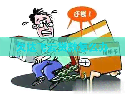 欠达飞云贷款怎么办