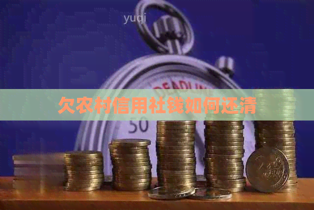 欠农村信用社钱如何还清