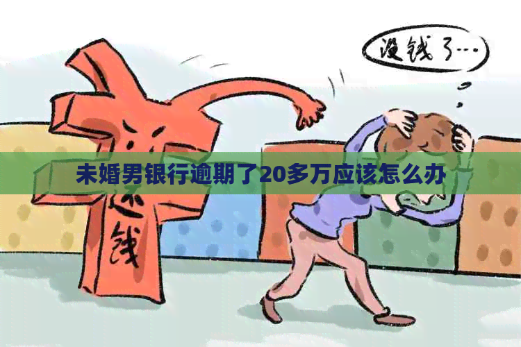 未婚男银行逾期了20多万应该怎么办