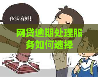 网贷逾期处理服务如何选择