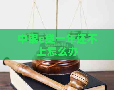 中银e贷一年还不上怎么办