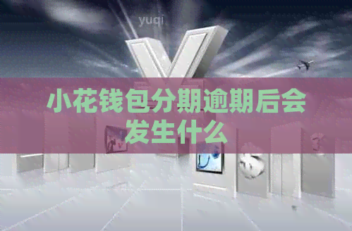 小花钱包分期逾期后会发生什么