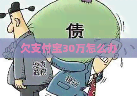 欠信用卡30万怎么办 欠信用卡30万怎么办