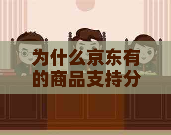 为什么京东有的商品支持分期付款