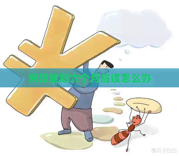 网贷逾期六个月应该怎么办