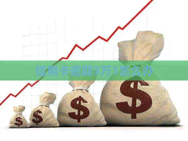 信用卡逾期3万1怎么办