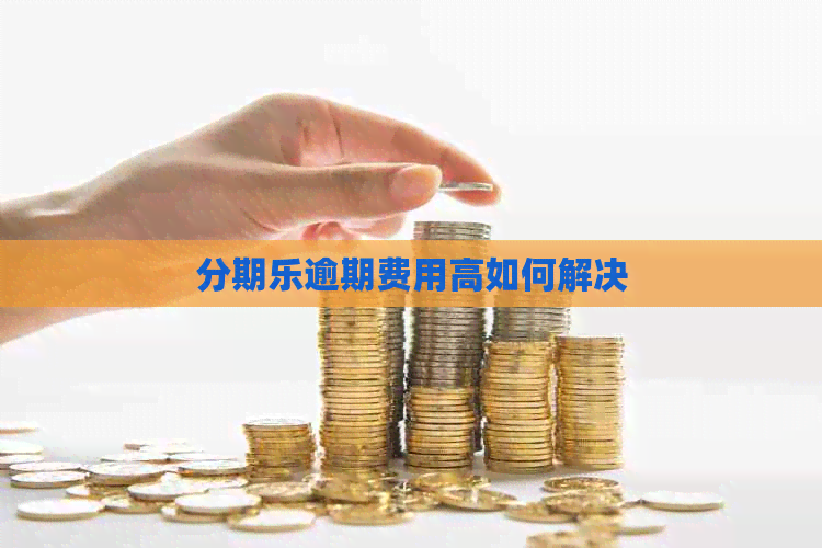 逾期费用高如何解决
