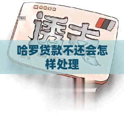 哈罗贷款不还会怎样处理