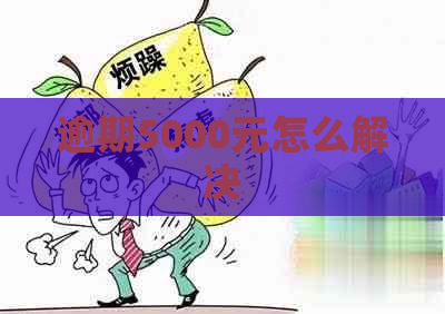 逾期5000元怎么解决