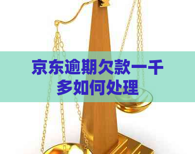 京东逾期欠款一千多如何处理