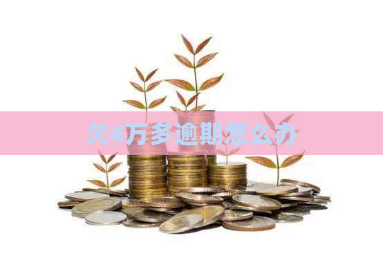 欠4万多逾期怎么办