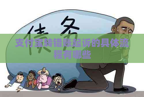 支付宝转错账起诉的具体流程有哪些