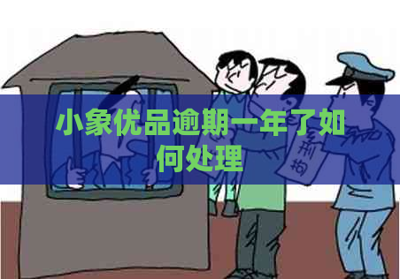 小象优品逾期一年了如何处理