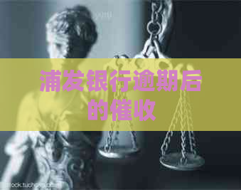 浦发银行逾期后的