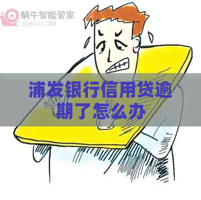 浦发银行信用贷逾期了怎么办
