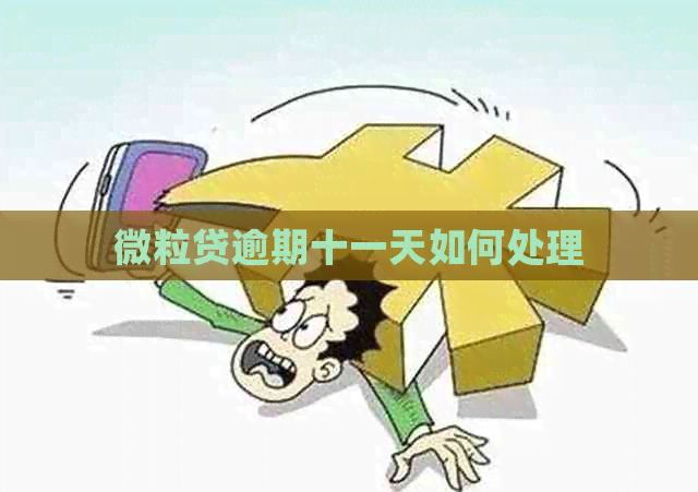 微粒贷逾期十一天如何处理