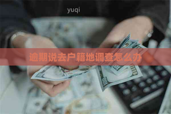 逾期说去户籍地调查怎么办