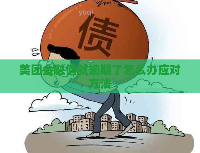 美团金融借款逾期了怎么办应对方法