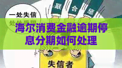 海尔消费金融逾期停息分期如何处理