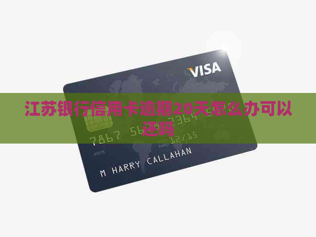 江苏银行信用卡逾期20天怎么办可以还吗