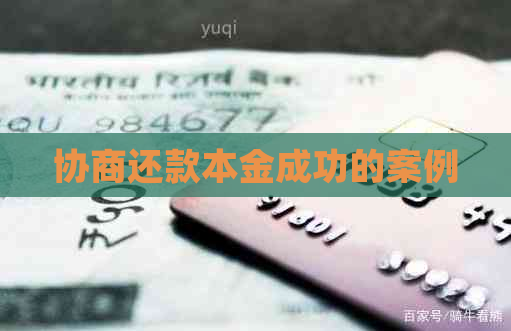 协商还款本金成功的案例