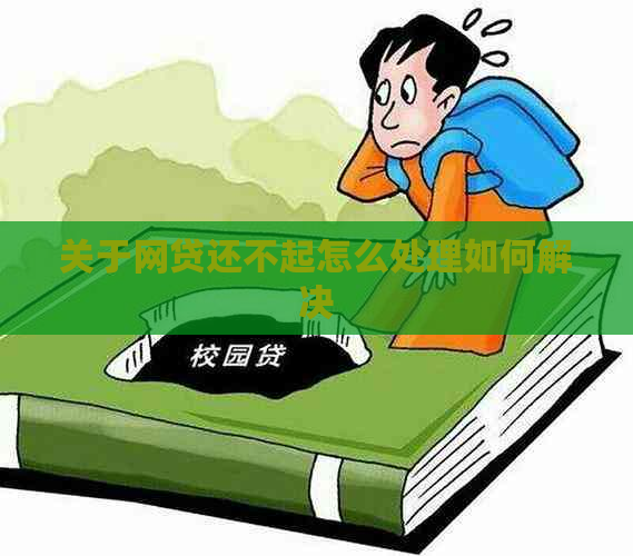 关于网贷还不起怎么处理如何解决