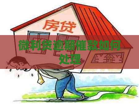 微利贷逾期催款如何处理