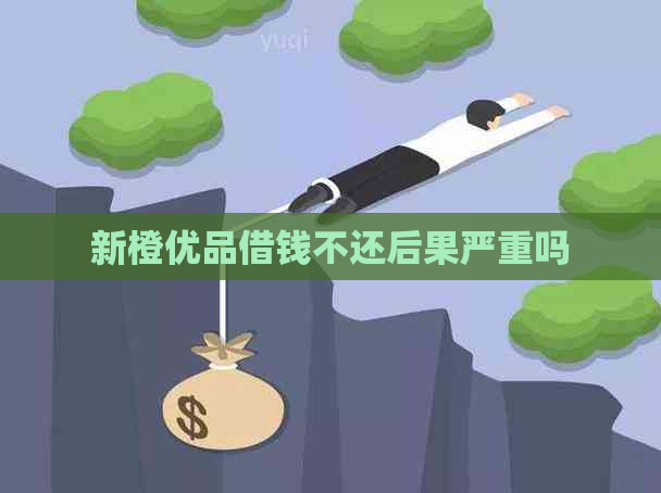 新橙优品借钱不还后果严重吗