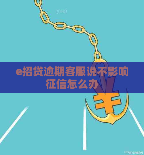e招贷逾期客服说不影响怎么办