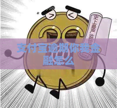 信用卡逾期你我金融怎么