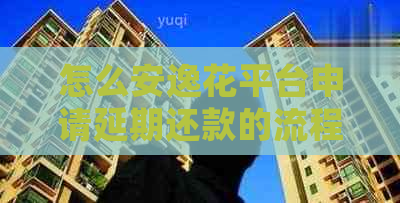 怎么安逸花平台申请延期还款的流程是什么