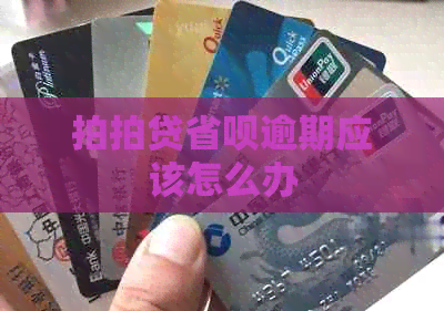 省呗逾期应该怎么办