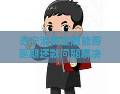 苏宁消费金融能否延期还款问题解决方案