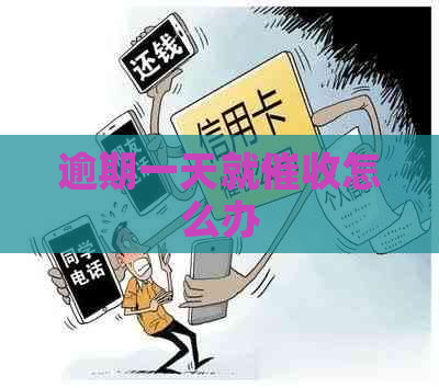 逾期一天就怎么办