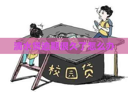 滴水贷逾期很久了怎么办