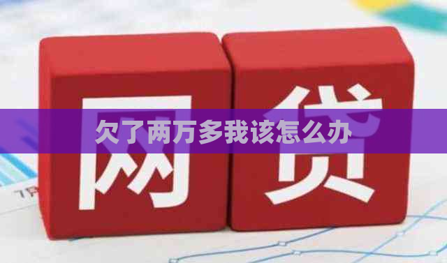 欠了两万多我该怎么办