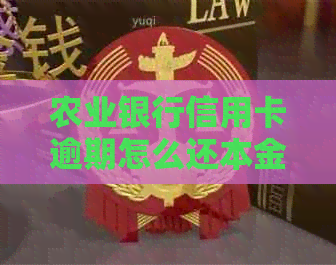 农业银行信用卡逾期怎么还本金快速有效